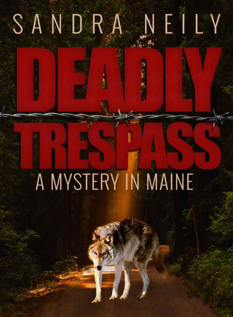 Deadly Trespass by Sandra Neily