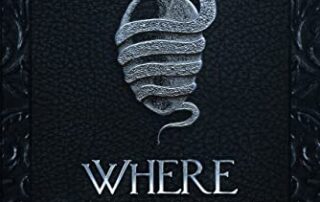 Where Madness Lies by Heidi K. Allen