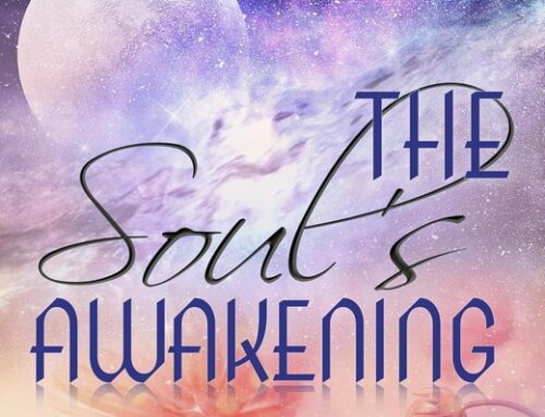 The Soul’s Awakening by Shireen Anne Jeejeebhoy